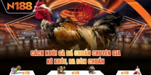 Cách nuôi gà đá